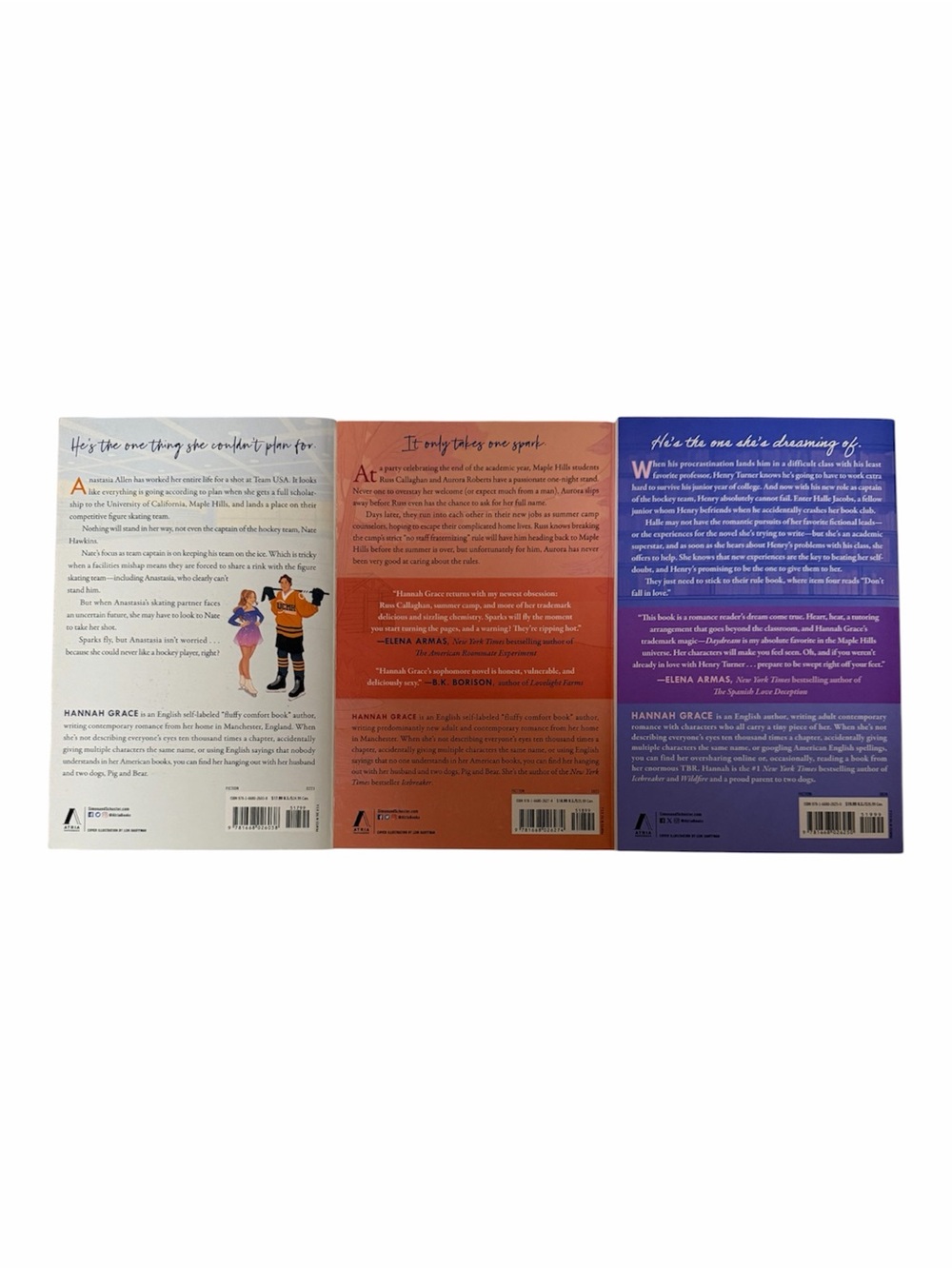 Hannah Grace Icebreaker Wildfire Daydream Paperbacks - Picture 2 of 2